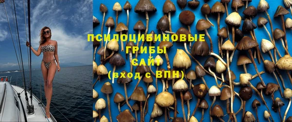 метадон Мегион