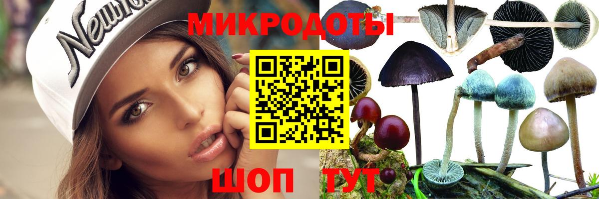 Псилоцибиновые грибы MAGIC MUSHROOMS  Вход с VPN  где продают наркотики  Шатура 